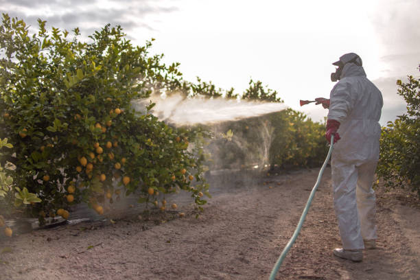 Best Local Pest Control Services  in Wynantskill, NY